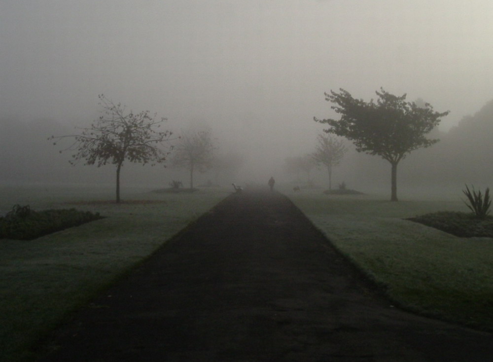 Misty Morning in Dublin