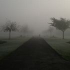 Misty Morning in Dublin