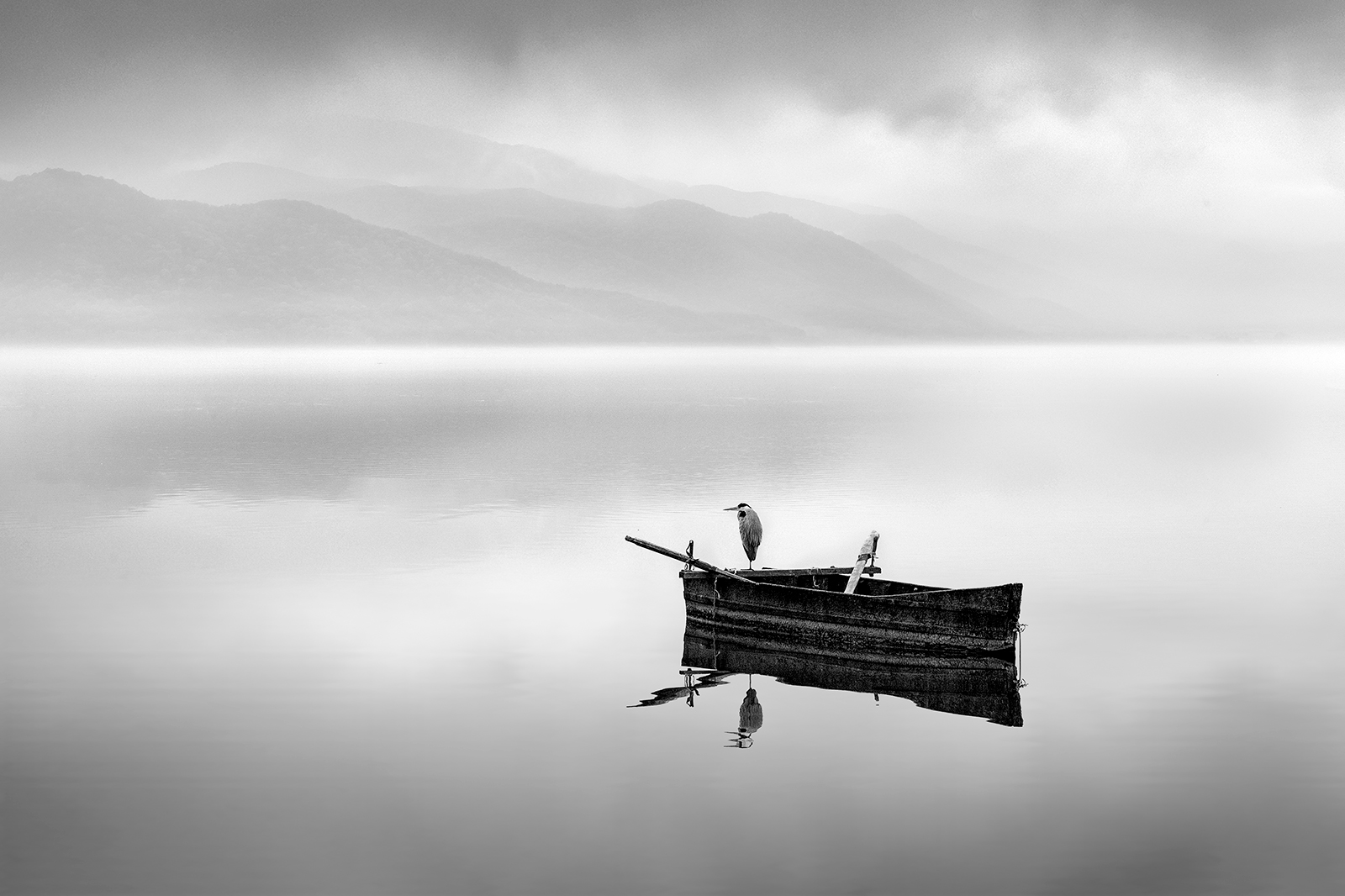 Misty morning in Kerkini Lake