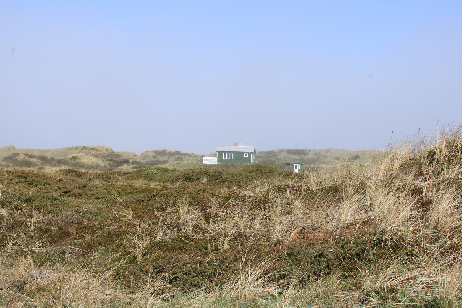 misty morning in the dunes