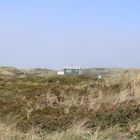 misty morning in the dunes