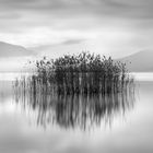 Misty Morning in Vegoritis Lake