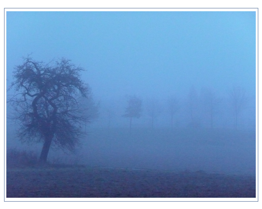 Misty Morning Moment ...