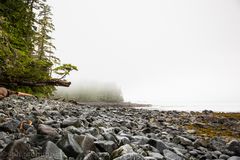 Misty morning on Aristazabal Island - BC