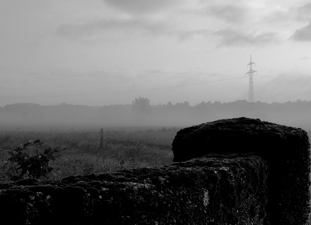 Misty Morning on the bridge .......