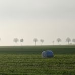 misty morning -pano-