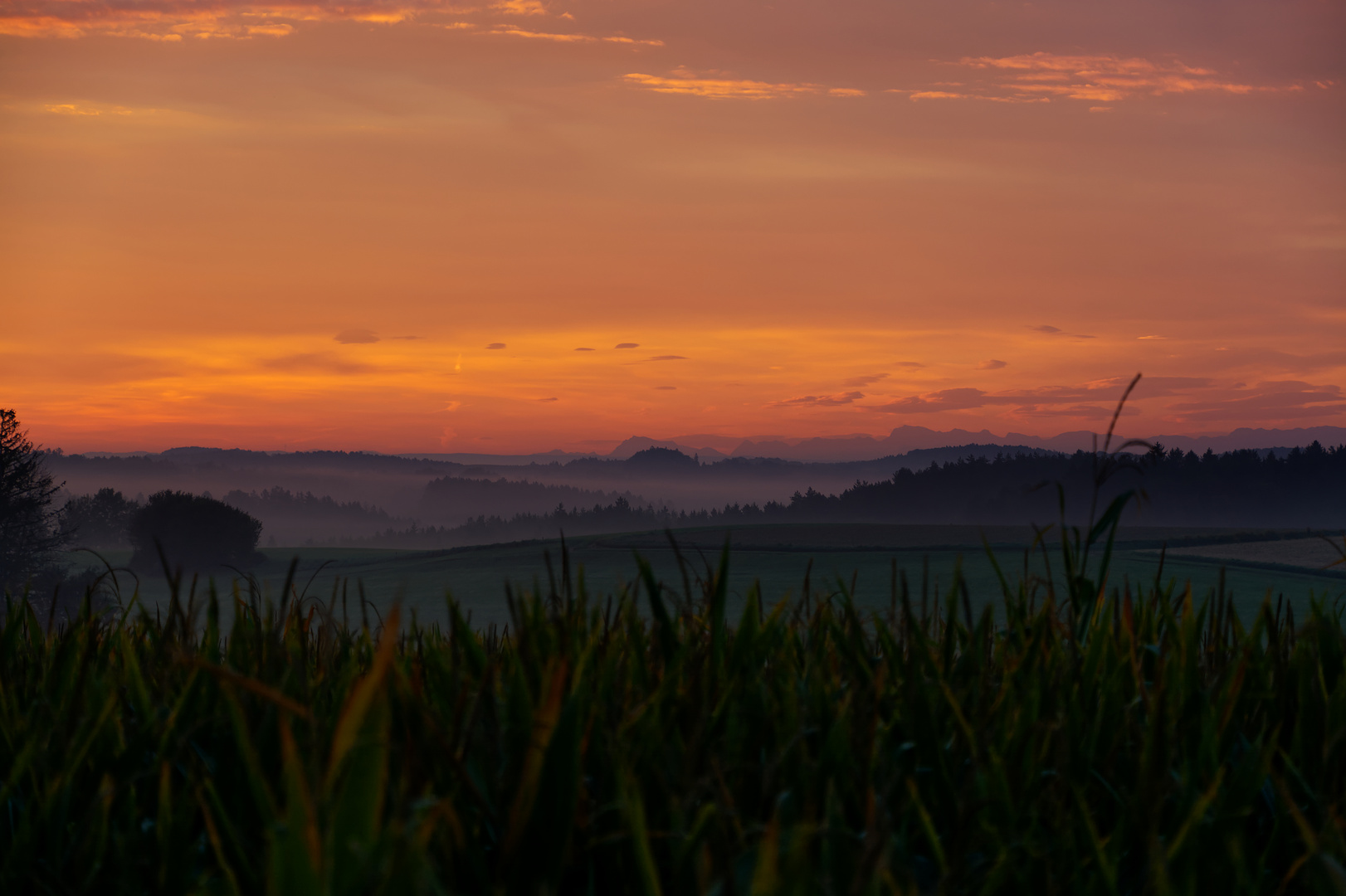 Misty morning sunrise