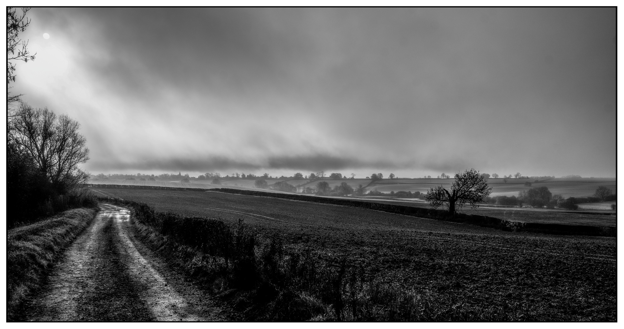 Misty Morning Walk