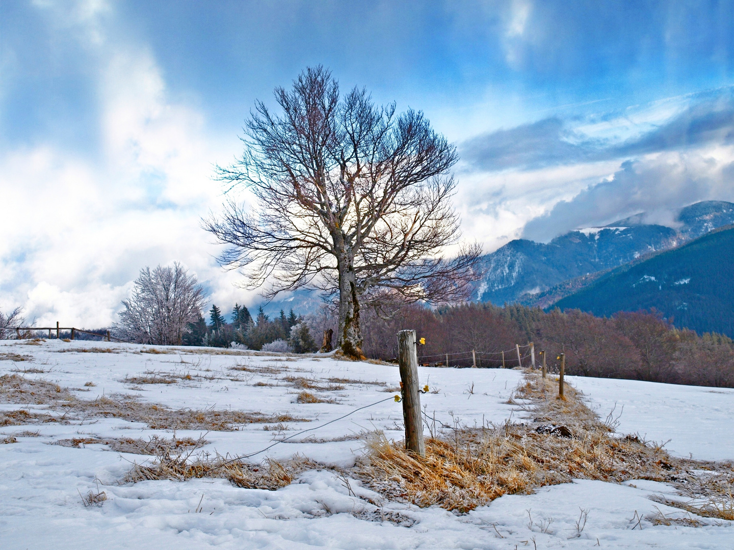 Misty Mountains (Cold)