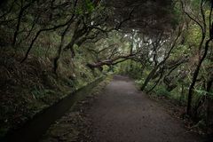 Misty Mountains embrace Levada Rabacal