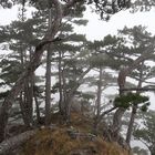 Misty Mountains in Middle Europe