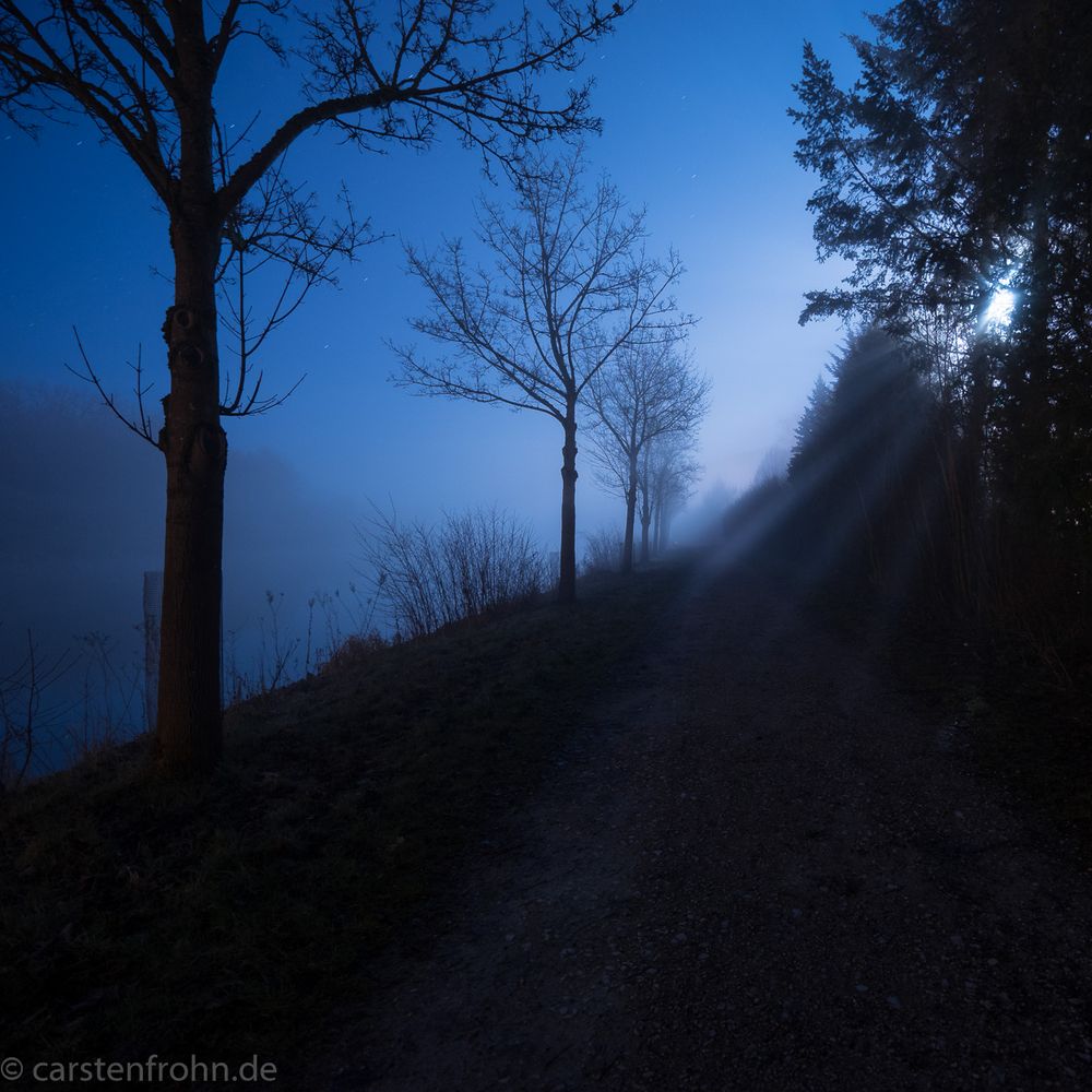 misty night