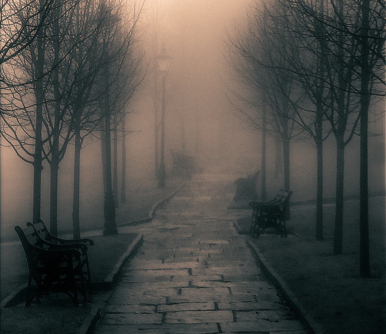 Misty Path