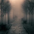 Misty Path