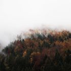 Misty Peaks #3