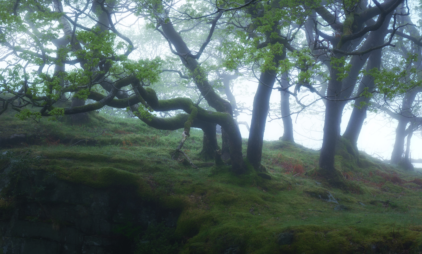 misty Quarry