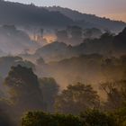 Misty Rainforest at Dawn