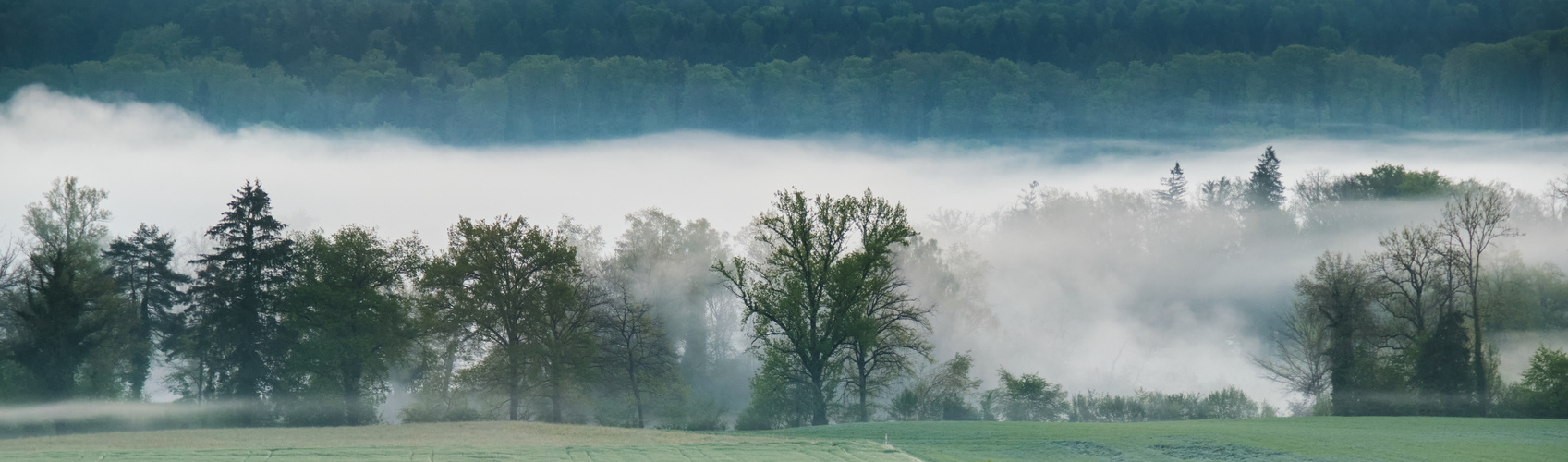 Misty river