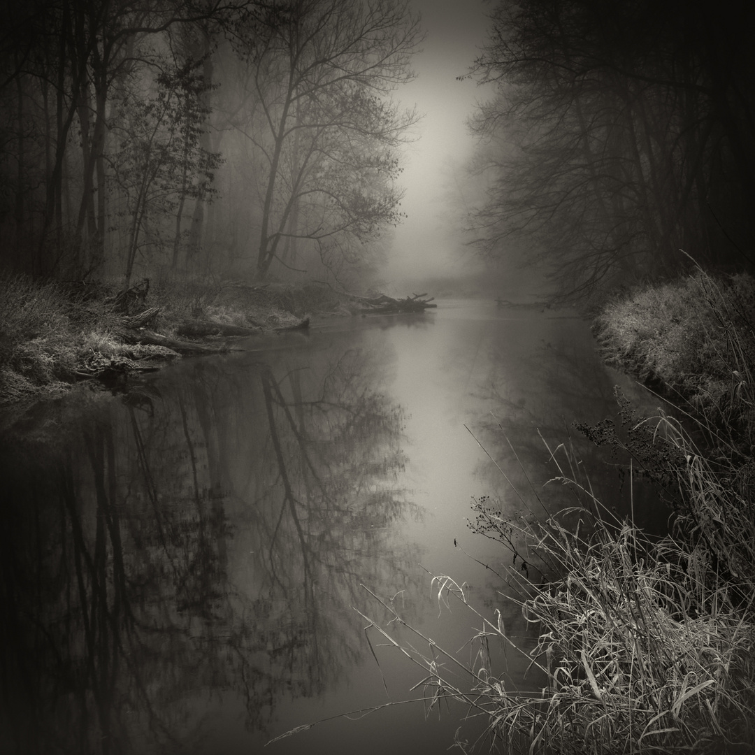 Misty river