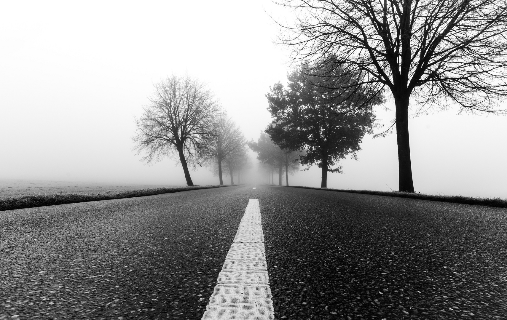 Misty Road