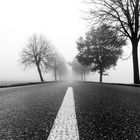 Misty Road