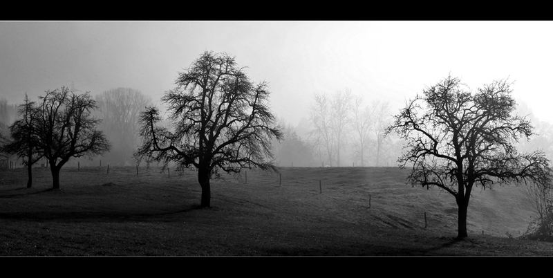 misty silence by Reto Marending