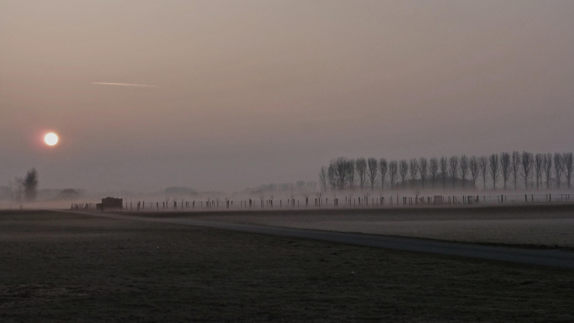 Misty Sunrise