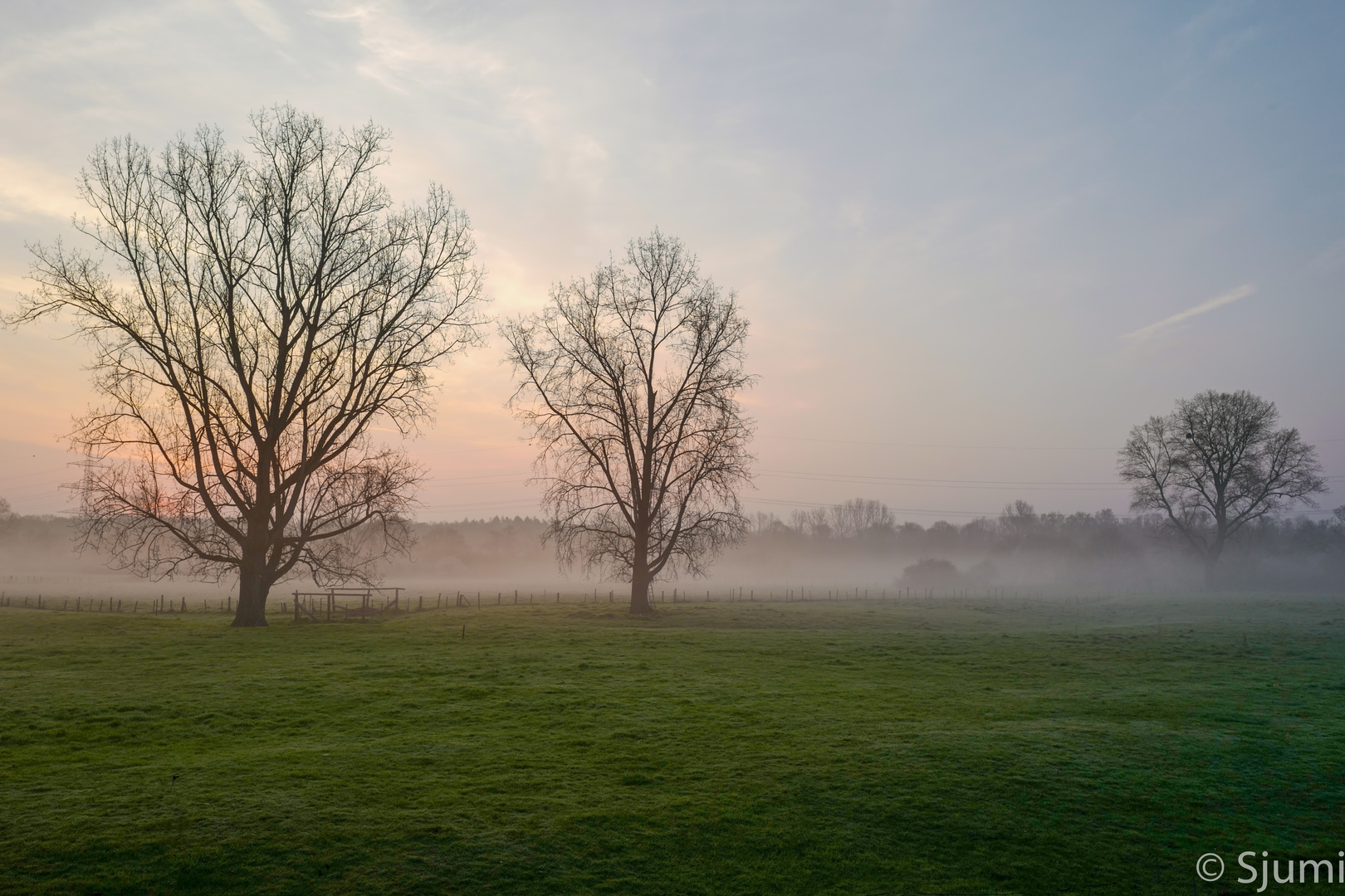 Misty sunrise 2