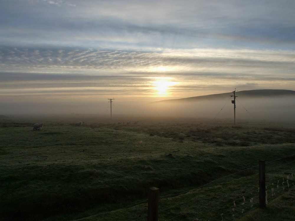 Misty Sunrise