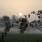 Misty Sunrise