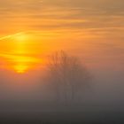 Misty sunrise at Elbe river (Germany)