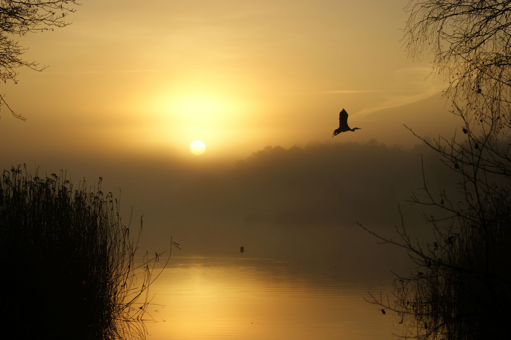 Misty sunrise