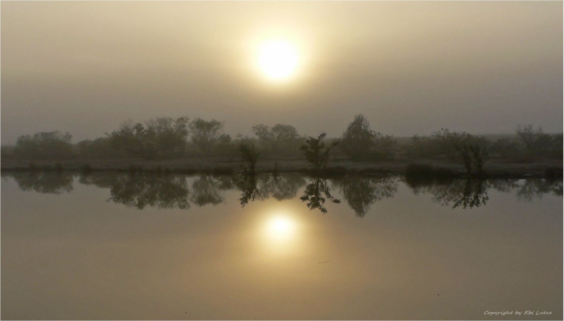 * misty sunrise / Diamantina river Qld. *