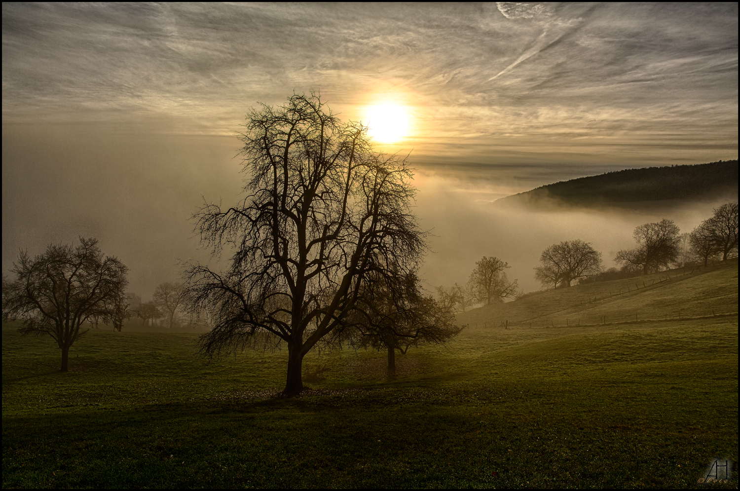 misty-sunrise---Opfertshofen-SH