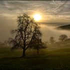 misty-sunrise---Opfertshofen-SH