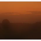 Misty sunset - Nebliger Sonnenuntergang