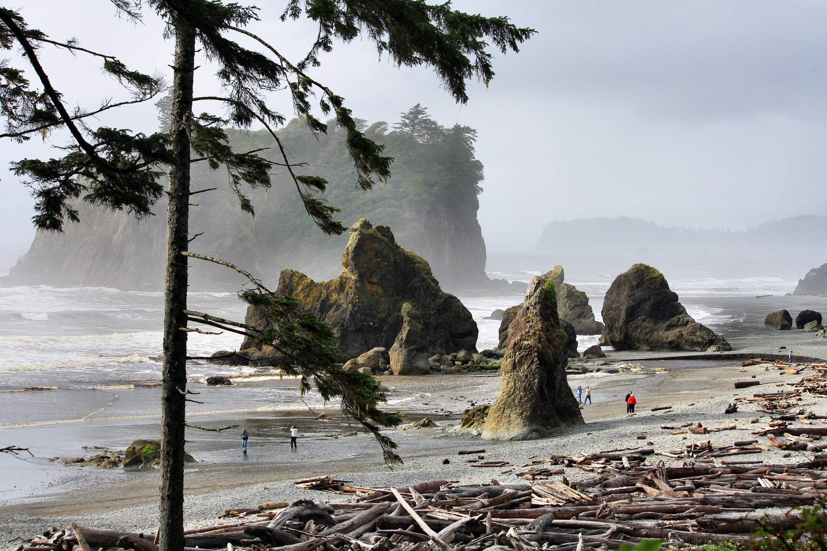 Misty time at Ruby Beach