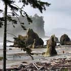 Misty time at Ruby Beach