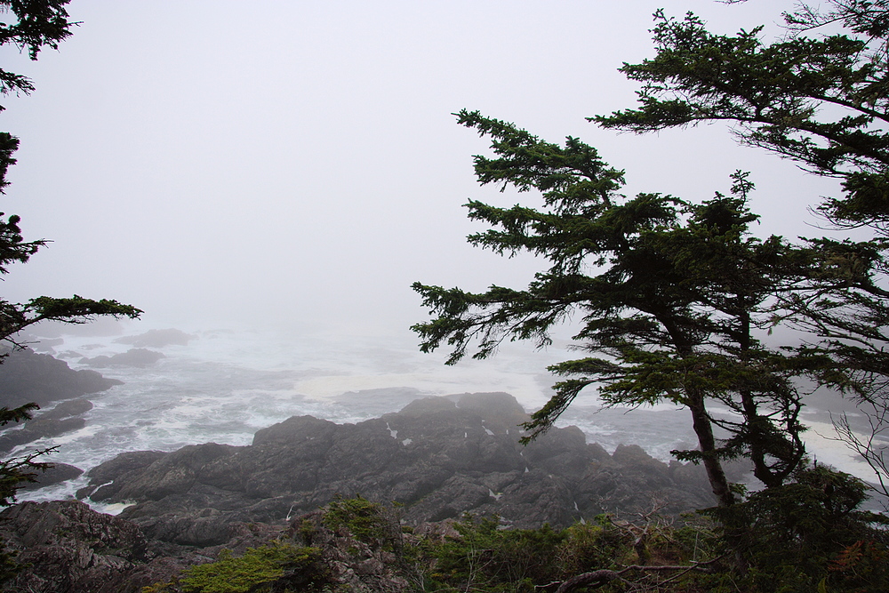 Misty Ucluelet