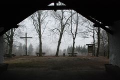 Misty view from a shelter hut