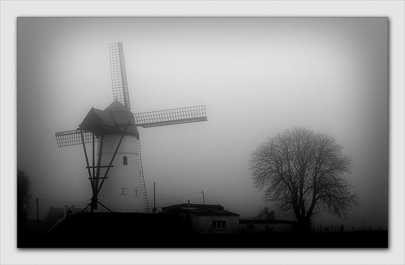 Misty Windmill