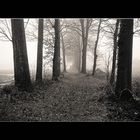 _misty_path