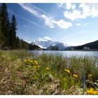 Misurina See