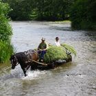 Mit 1 PS durchs Wasser flitzen