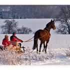 Mit 1 PS über den Schnee