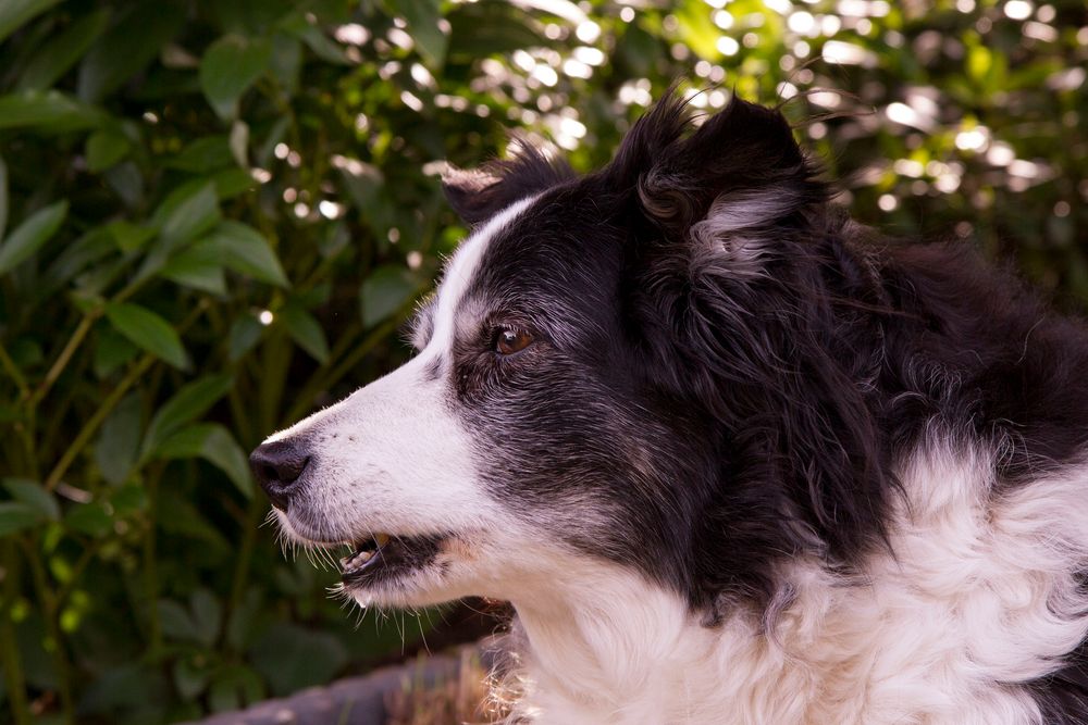 Mit 15 ist Relaxen im Garten angesagt