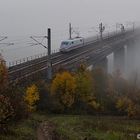 Mit 280 km/h aus dem Himmel - Referenzbild