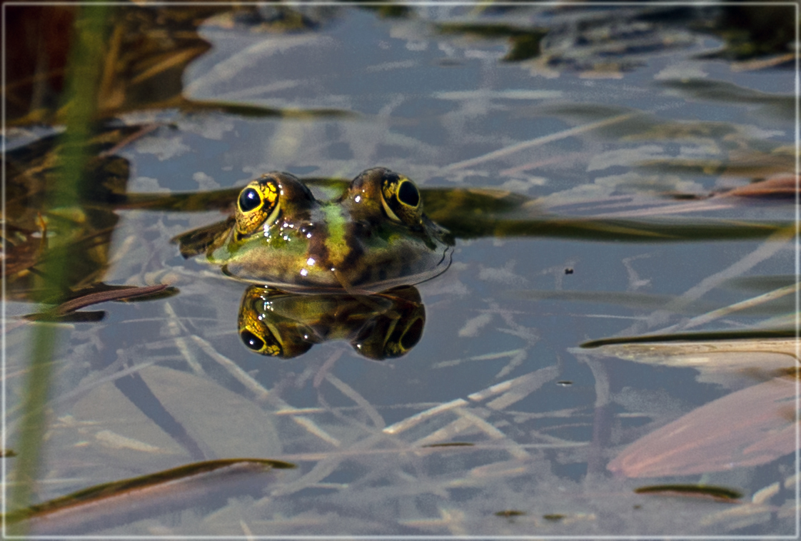 mit 4 Augen...