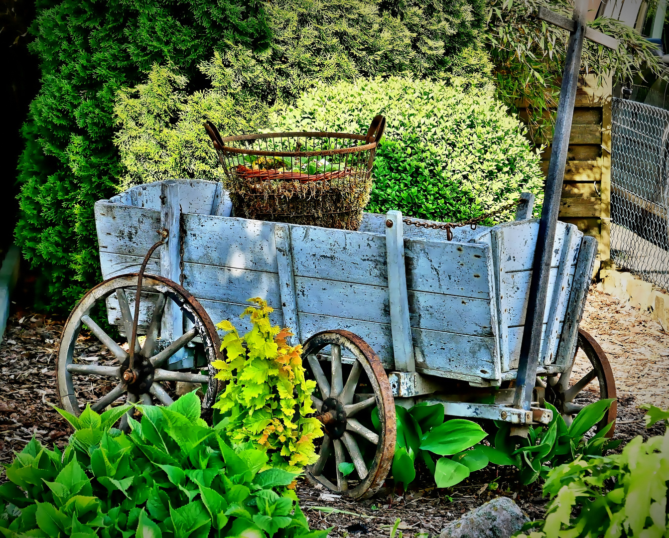 Mit 4 Rädern einen Blick in den Garten WAGEN