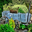 Mit 4 Rädern einen Blick in den Garten WAGEN